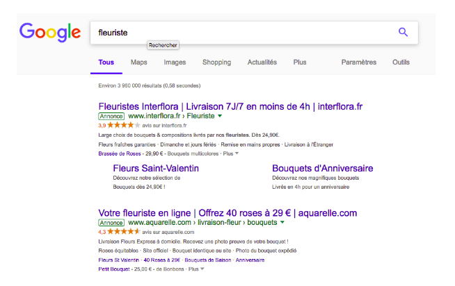 Exemple de résultat de recherche Google sponsorisé