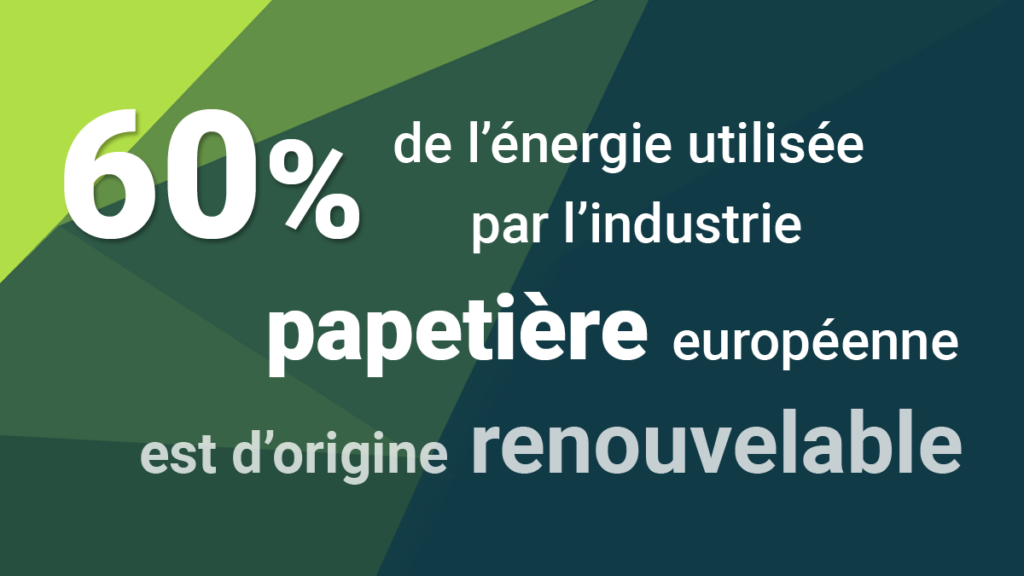 l'énergie de la filière papetière est d'origine renouvelable