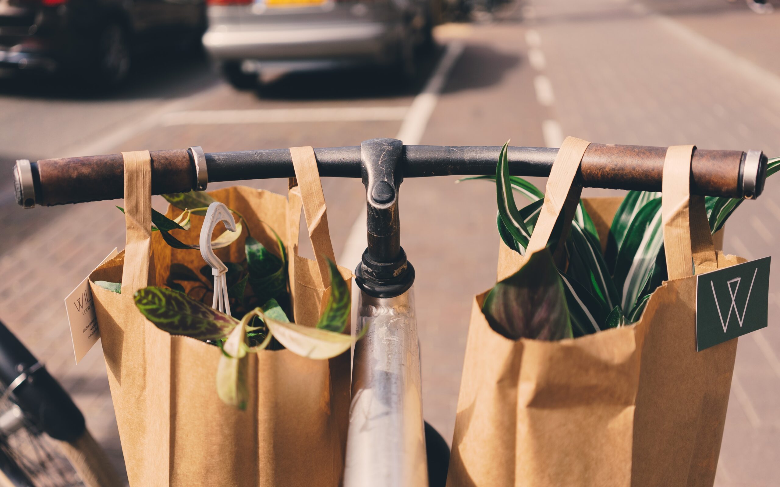 Le développement durable est un déclencheur d’achats