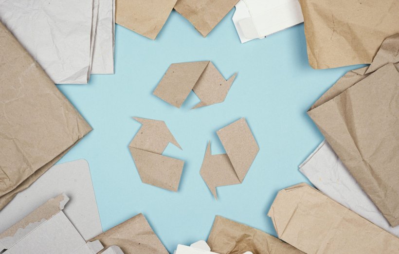 Papier et déforestation : le point sur les idées reçues !