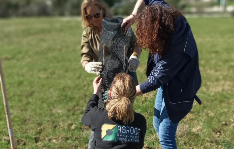 MEDIAPOSTE participe à une plantation agroforestière